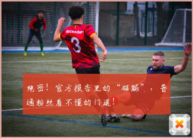 绝密！官方报告里的“猫腻”，普通粉丝看不懂的门道！